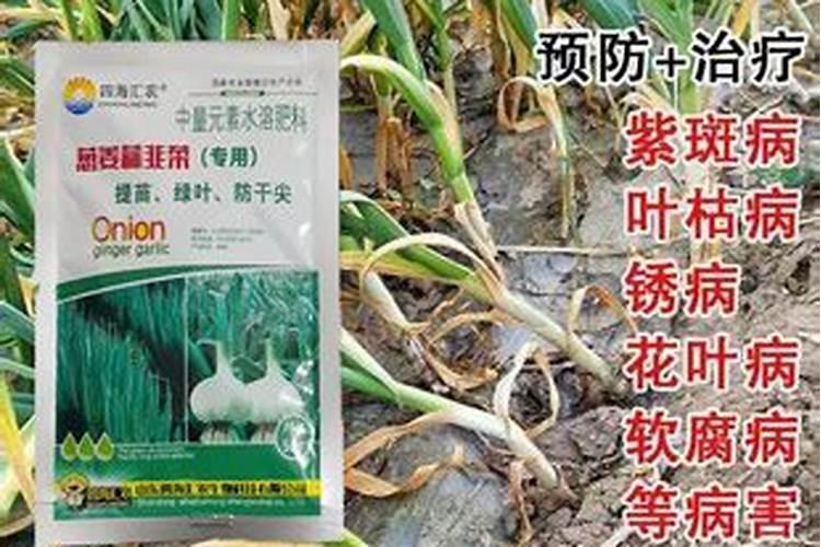 萝卜一般什么施肥