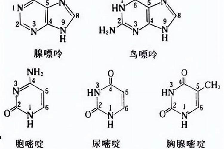 氯化钾肥的正确使用方法,氯化钾是由什么构成的