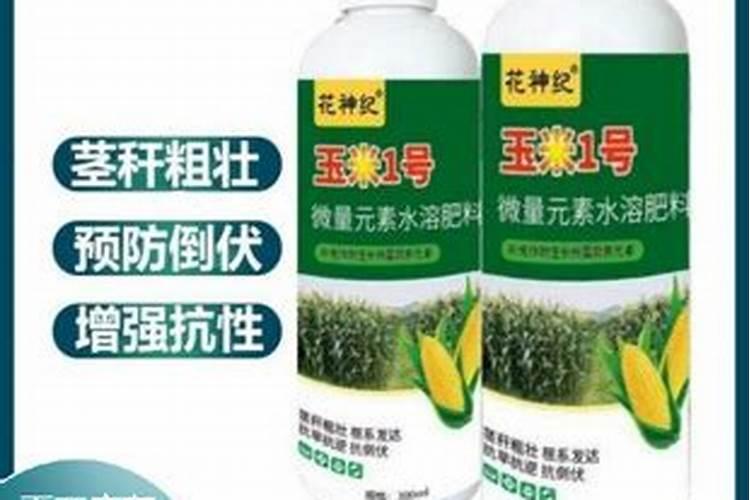 我的霸王芋叶子怎么了,快长漏了,大家知道是什么原因吗