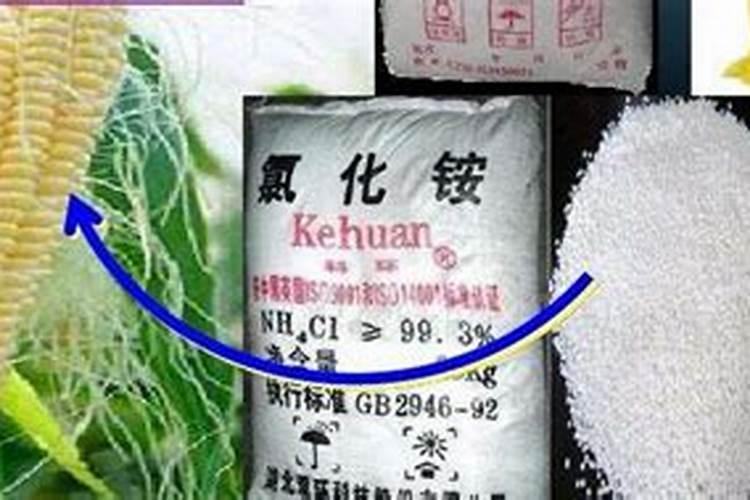 草木灰和氯化铵混合使用