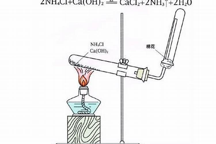 不能与碱性物质混合使用的常见化肥是什么？求解答
