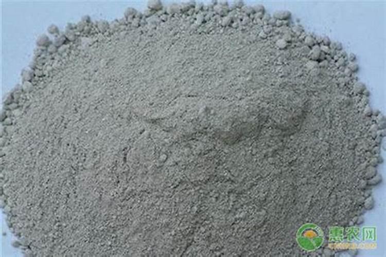 小葱种植后用什么肥做追肥？