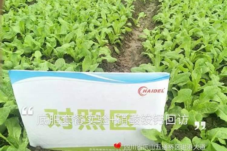 西红柿的生长速度特别缓慢,应该施哪些肥料？