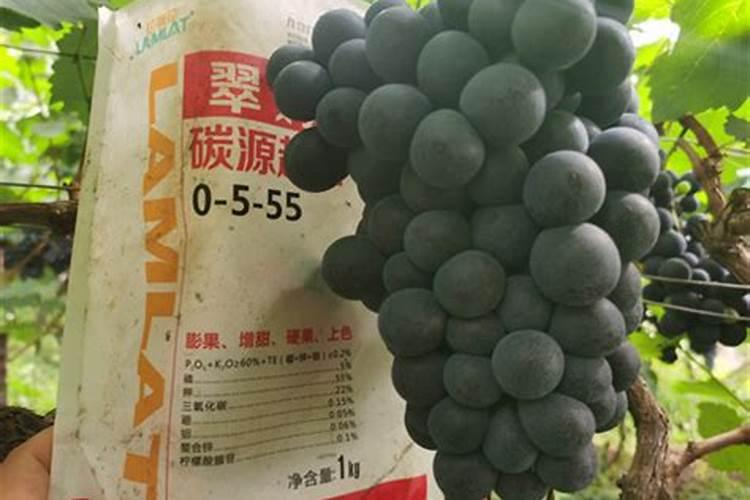 国内比较好水溶肥厂家有哪些