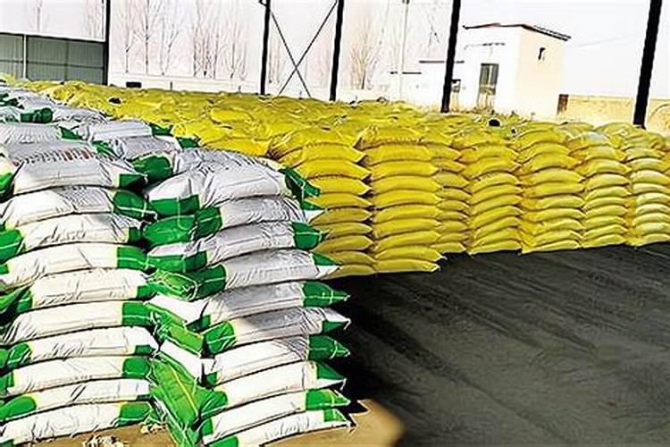 山东临沂不到5月1号就有种地瓜的了吗？