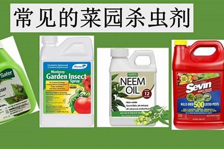 辣椒的病虫害怎么防治