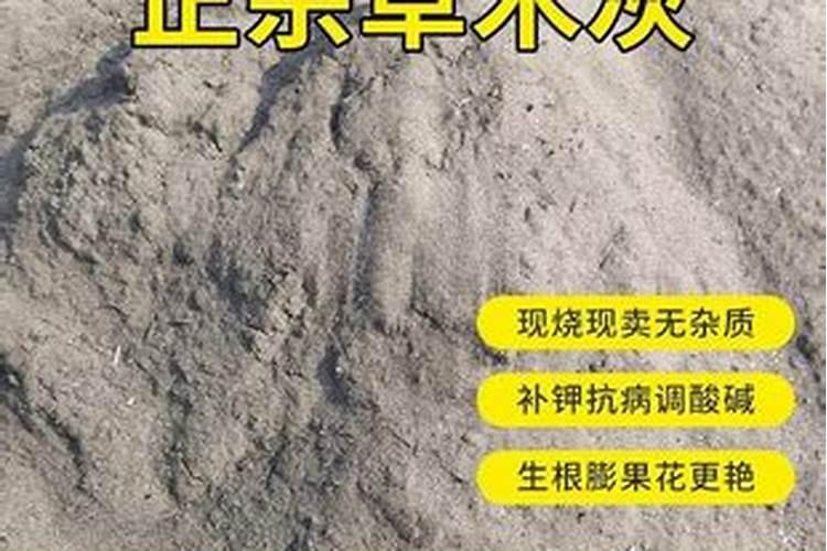 种茶花的土中可以放些柴木灰吗