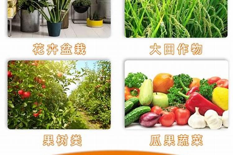 花芽分化用什么叶面肥