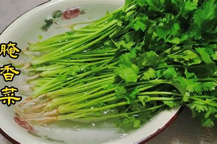 香菜施什么肥料长得快