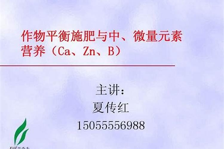 平衡肥是什么肥