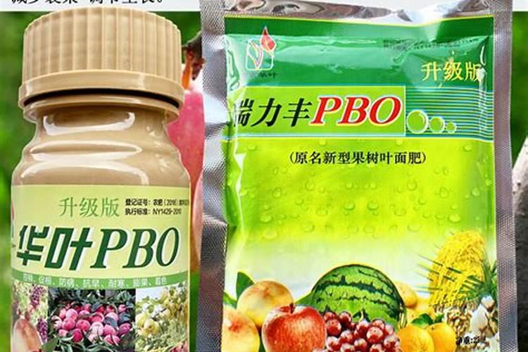 哈密瓜膨果期怎样施肥