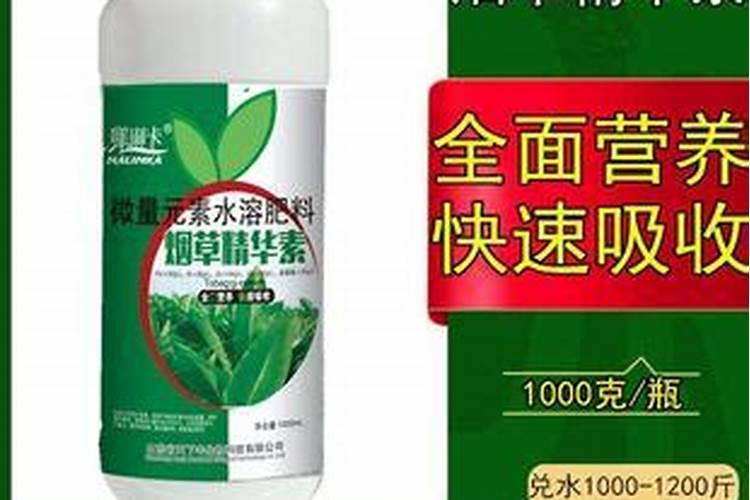 种植烤烟需要什么技巧吗