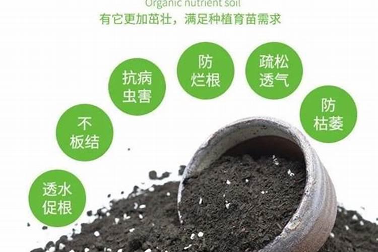 什么是磷肥和钾肥