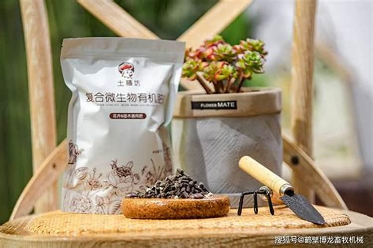 室内种花用什么肥料