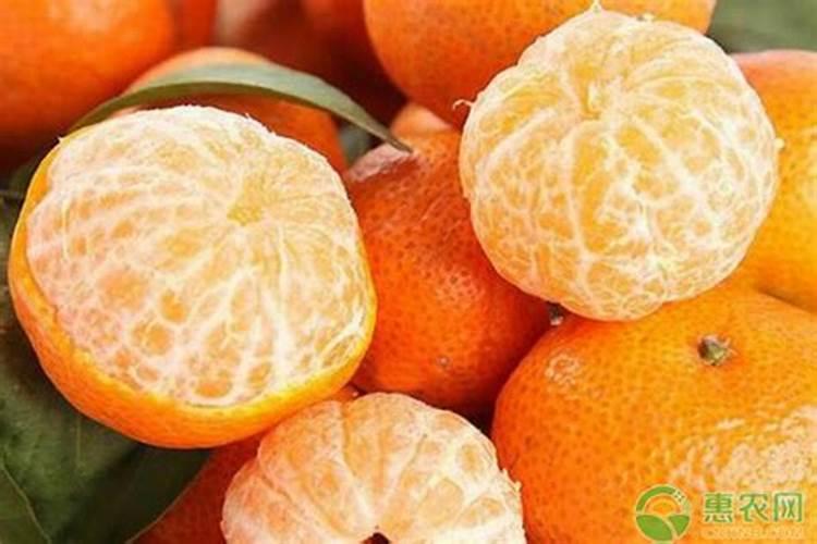 桔子树用什么肥料最好
