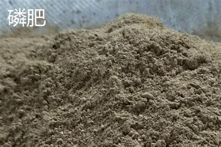 复合肥氮肥钾肥磷肥区别是什么