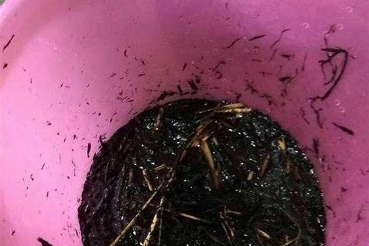 瓜子可以当肥料吗？