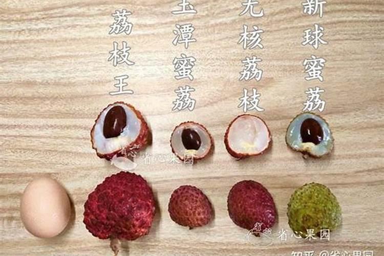 荔枝开花施什么肥
