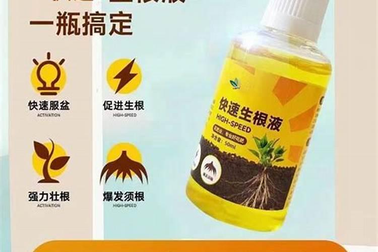 夏季高温果树开花有必要用生根养根肥？