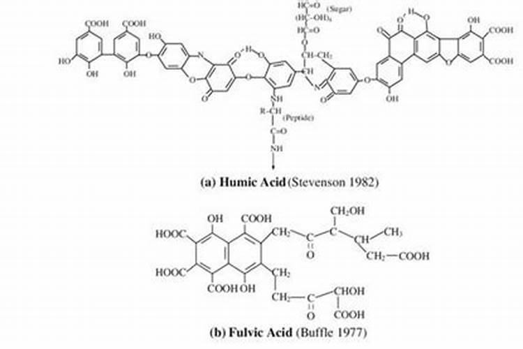 膨大素天丰素的对比