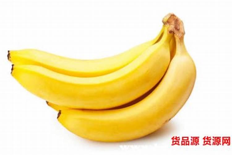 香蕉树的种植条件有哪些要求