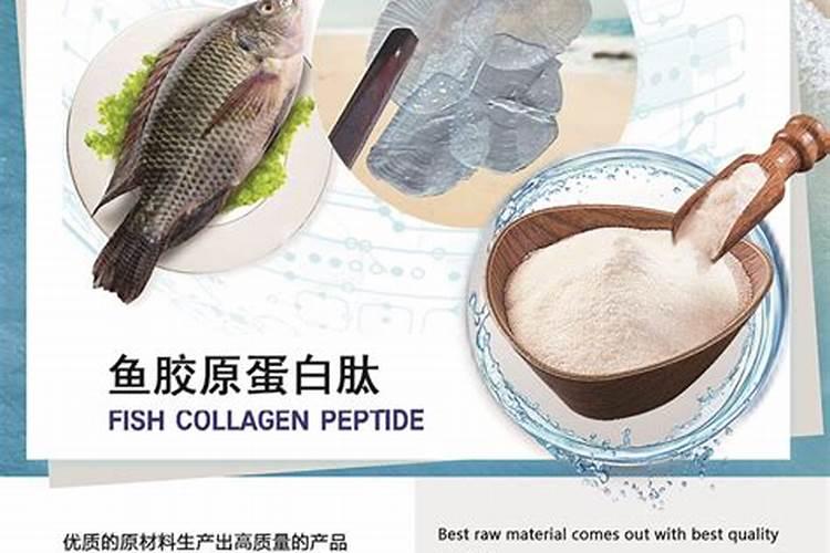 海南华研生物科技有限公司百福美鱼胶原蛋白