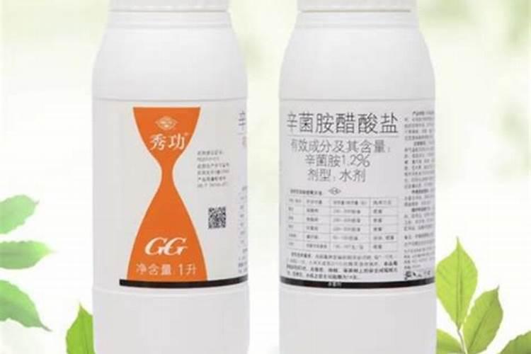 西瓜叶子从根部一直向上枯,怎么办？