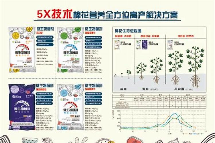 果树专用肥有什么推荐？