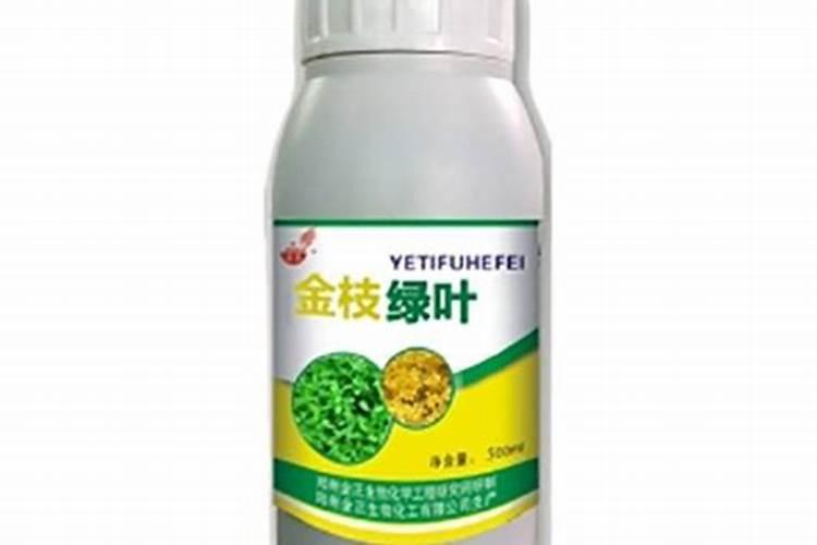 金枝玉叶老桩初夏开花的时候可以施肥吗？