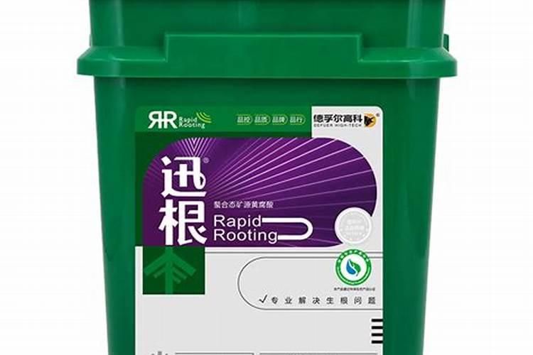 种的草莓可以加 糖吗