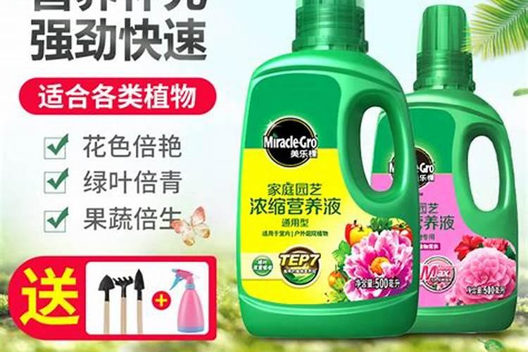 绿萝施什么肥好