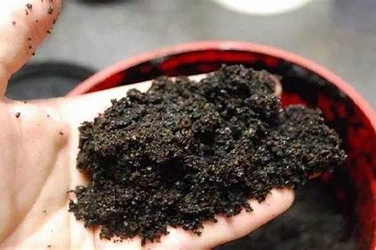 喝剩的茶叶可以浇花吗
