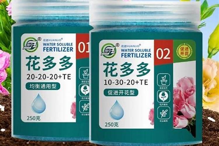玫瑰花多久施一次肥 要施什么肥料