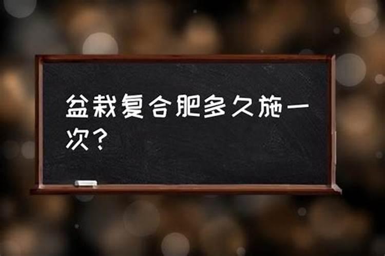 玫瑰花什么时候施肥