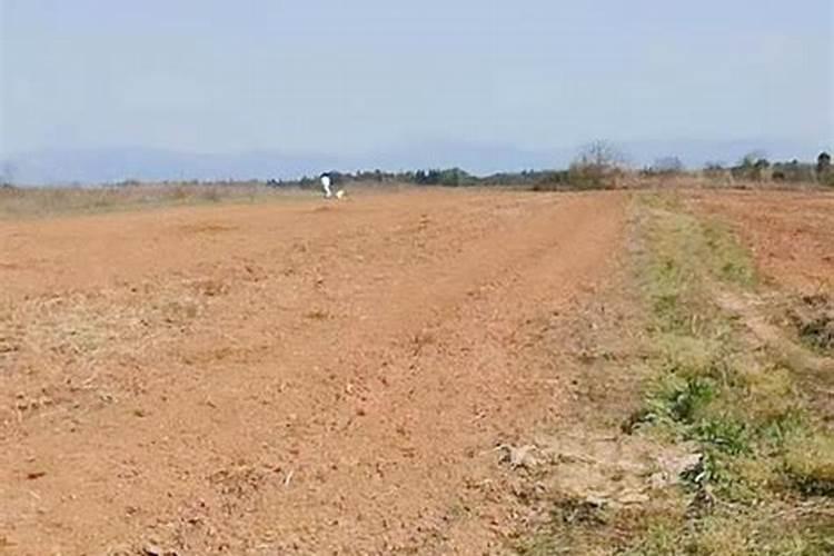 小区外的闲置荒地可不可以种菜呀