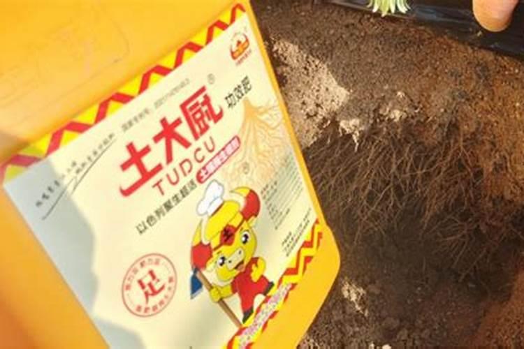 生根剂十海藻精十有机肥十微生菌剂作用