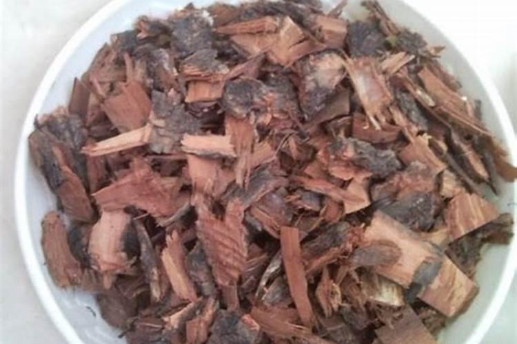 松树用什么肥料最好