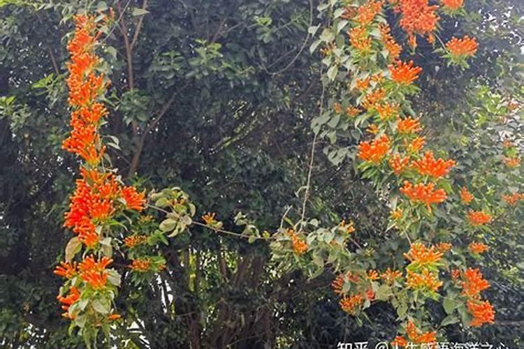 通过什么流程能够把鱼蛋白过滤出来