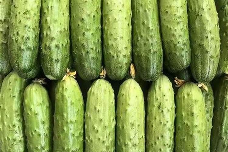黄瓜用什么肥料产量高