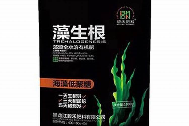 对虾塘长甲藻怎么办