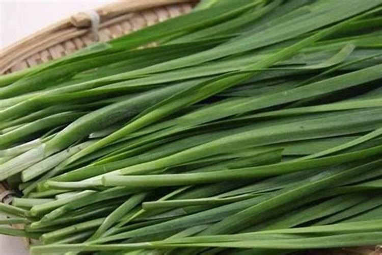 种植韭菜要怎样施肥