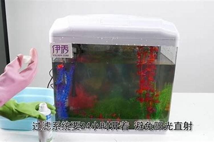 鱼缸的水藻怎么去除啊？