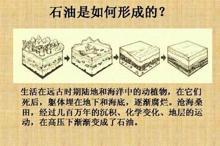 鱼丸和鱼豆腐是同样的做法吗