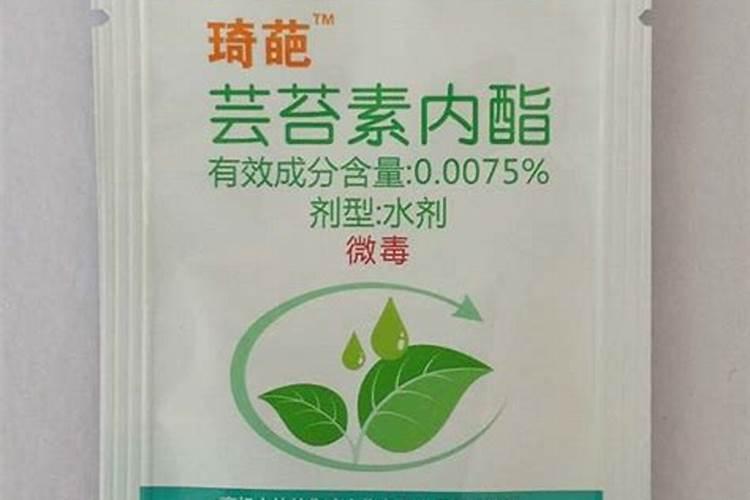 芸苔素内酯玉米可喷几次