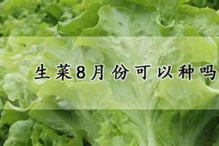 八月底可以种法师吗 八月底能不能种法师