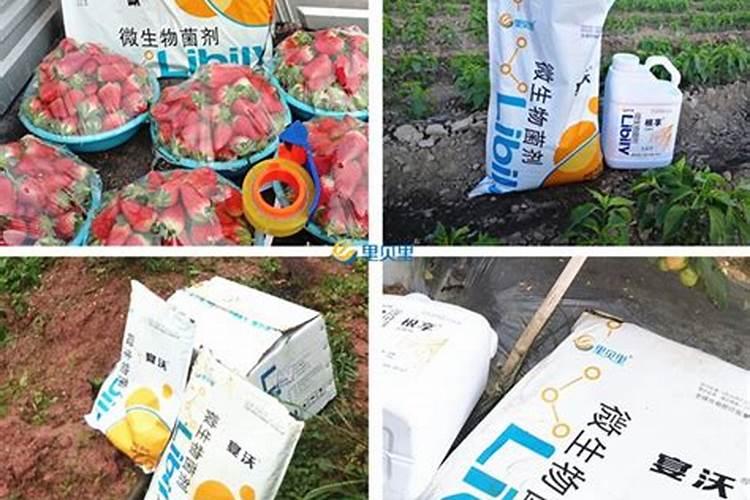 什么肥料含钾多