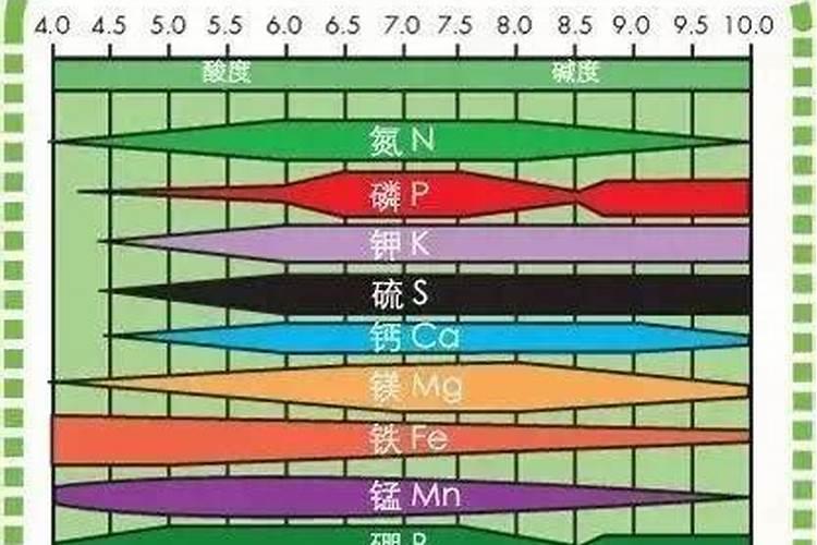 氮肥是酸性还是碱性的