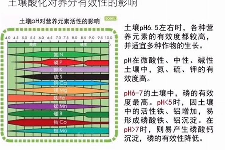 土壤酸化对农作物的危害大吗？