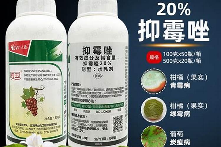 葡萄树打什么农药