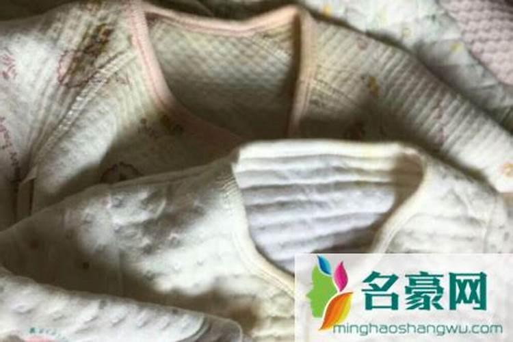 月季莫名其妙的枯萎,竟然是底肥出了问题!